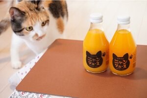 廃棄のピンチに“猫とのコラボ”で注文殺到…和歌山みかん「ニャンジュース」には思いやりもたっぷり