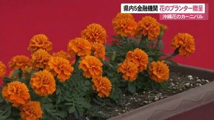 沖縄花のカーニバル県内5金融機関が花のプランター贈る