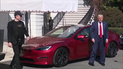 テスラ株急落の背景に「トランプ氏インタビュー」「業績懸念」「EV需要低迷」など…新NISAは「慌てず冷静な判断を」