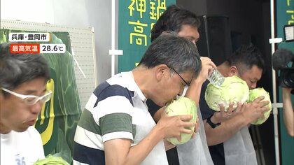 「顎が疲れた…」キャベツを“丸かじり”　サクランボの産地では種吹き飛ばし大会も　全国でイベントめじろ押し
