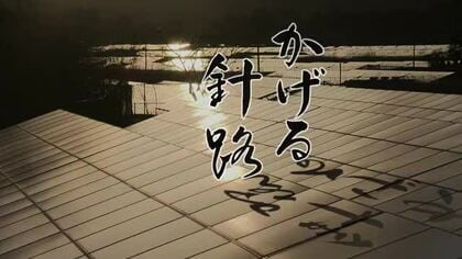 「劇場版かげる針路」８月２１日から東北３県（福島・宮城・山形）で上映　約４万字のパンフレット限定販売