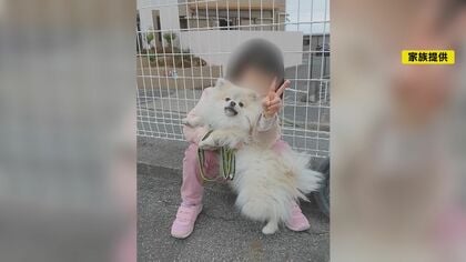 法律上は「モノ」扱い…6歳女の子と散歩中だった愛犬が車にはねられ死亡 ペット被害の事故に“厳しい現実”