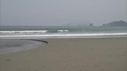 日南市の風田浜でサーファーが溺れる　埼玉県の39歳男性が死亡