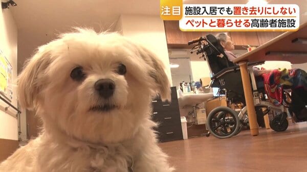 一緒に暮らしたい」高齢者の願い叶えた“ペットと入居できる”特別養護