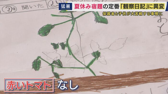 観察日記