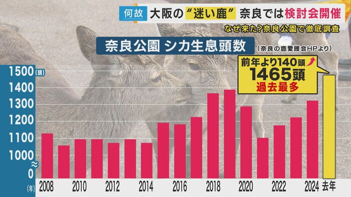 シカが異常なペースで急増