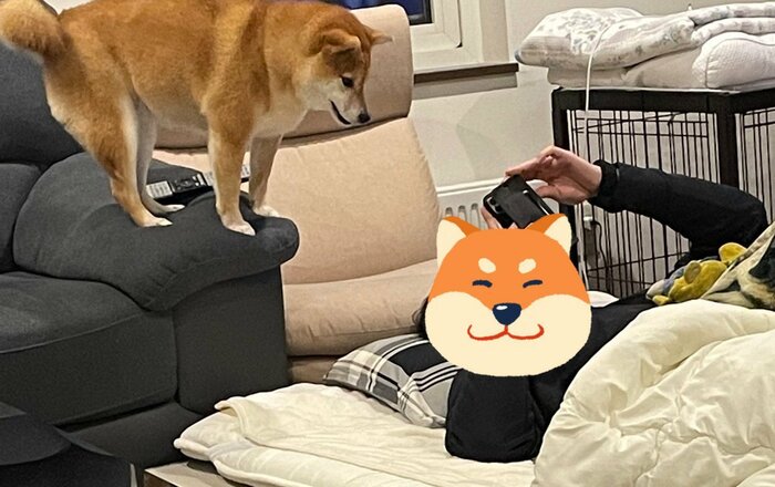 提供:赤柴いちさん