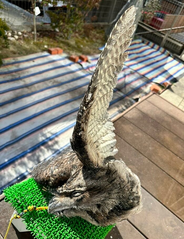 水浴び中