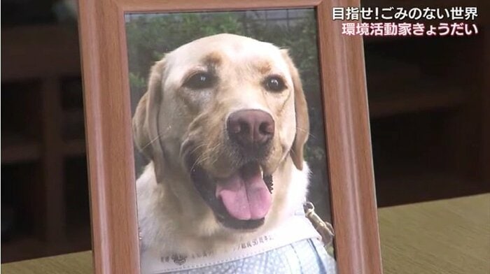 ごみが原因で死んでしまった盲導犬の写真