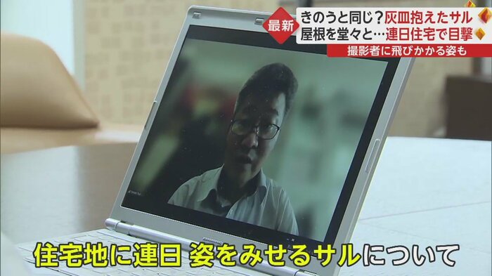 石巻専修大学・辻 大和准教授