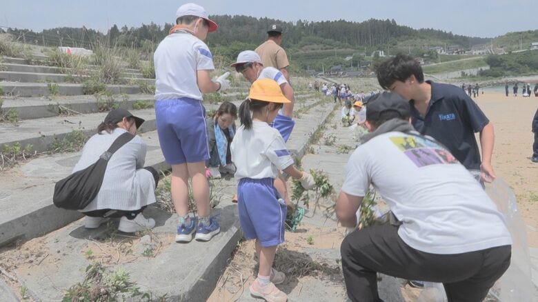 陸前高田市の小学生 海岸清掃と避難訓練　本格的な夏への備え　岩手県｜FNNプライムオンライン
