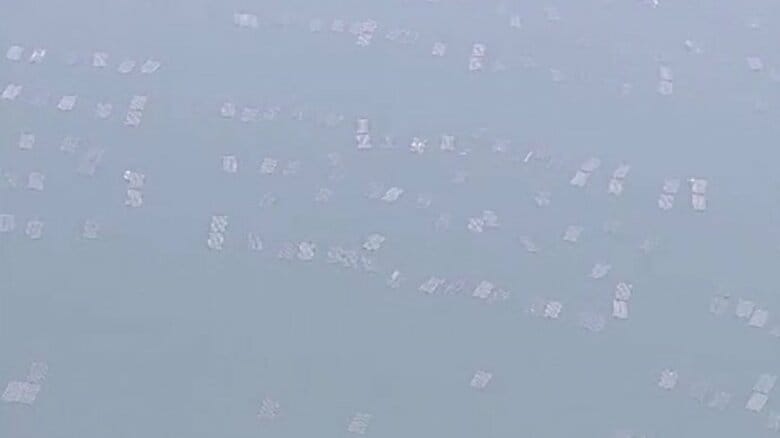 養殖カキ”岡山・兵庫などでも一部で被害”　鈴木農水相　被害の全体像把握進める考え示す【岡山】｜FNNプライムオンライン