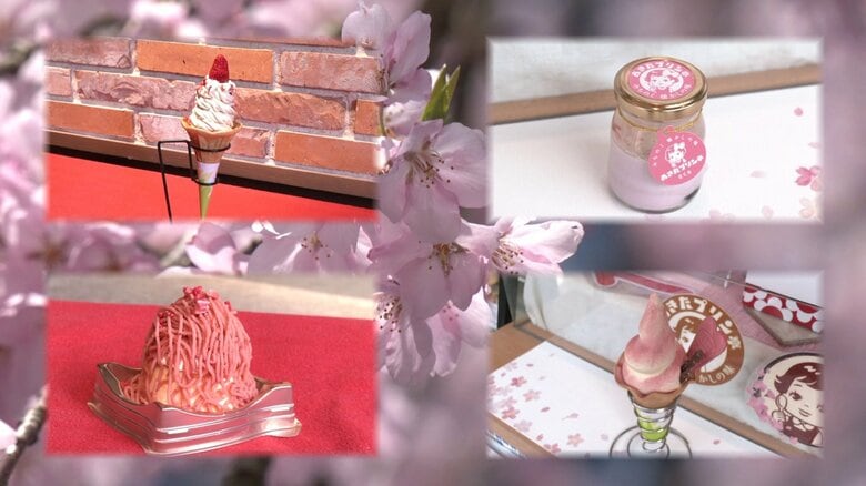 満開の季節を待つ武家屋敷通りから春の便り　桜の名所・角館で見つけた花見気分を盛り上げる限定スイーツ【秋田発】｜FNNプライムオンライン