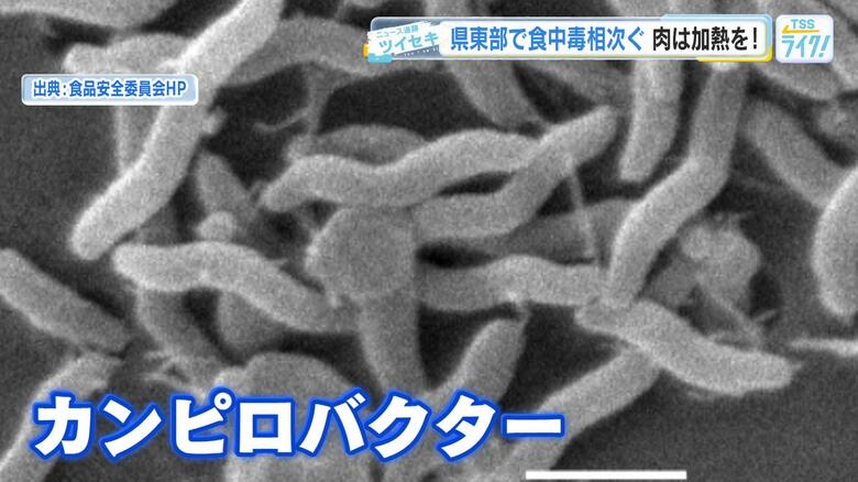 なぜ？県東部で「カンピロバクター」食中毒が急増　生鶏肉など「家庭でも加熱と消毒の徹底を」　広島｜FNNプライムオンライン