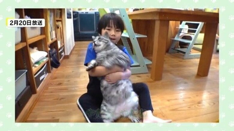 体も態度も大きい猫「プレジデント」　新たな家族に子猫が加わり態度も変化！？　体重8キロと3キロ、性格も真逆の“でこぼこコンビ”｜FNNプライムオンライン