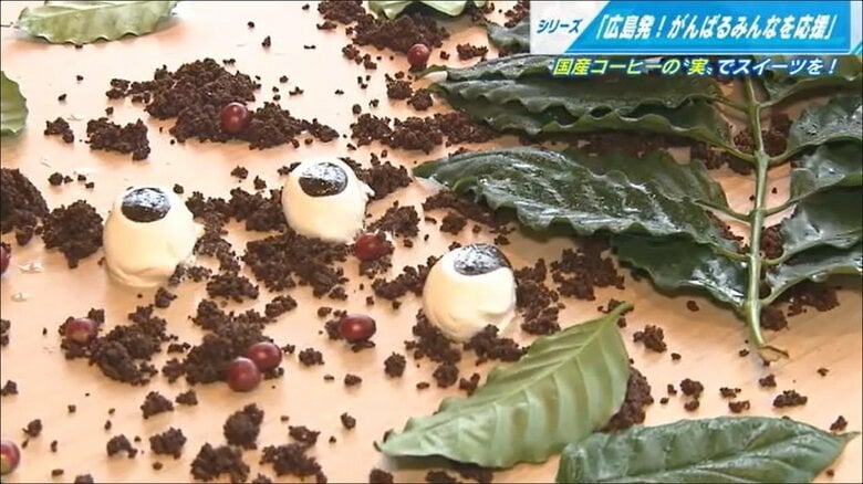 アート的な盛り付けのコーヒーチェリーアイス