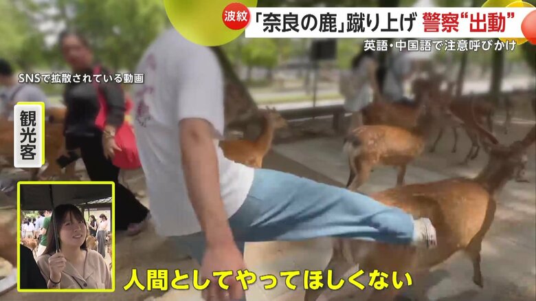 問題の動画を見た観光客の反応