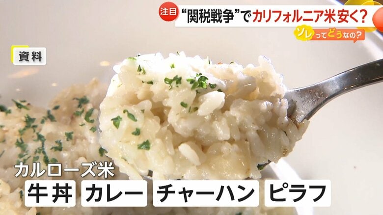 アメリカ産のカルローズ米で作られたピラフ