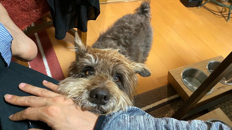 1日1日を大切にしていきたいという