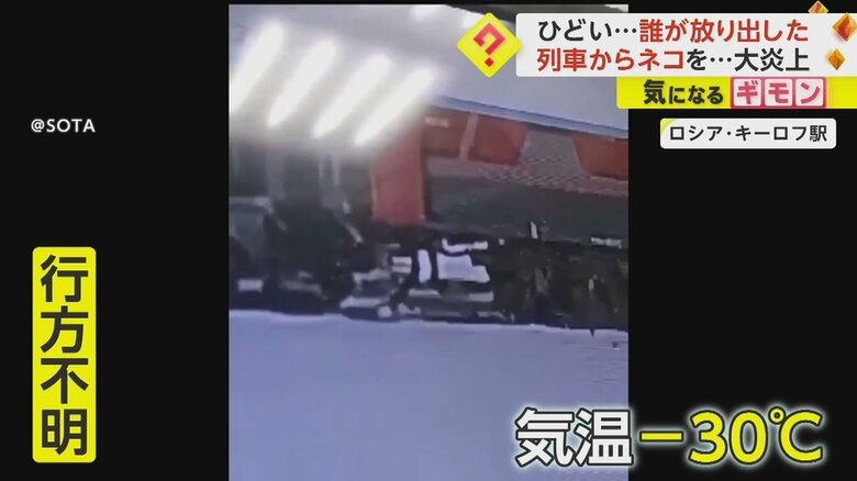 ロシア・キーロフ駅でネコのツイックスを車掌が列車の外に放り出す瞬間⑤