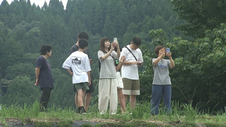 連日、ファンが撮影に訪れている