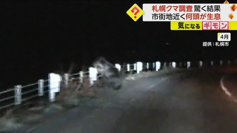 4月に撮影された、道路を横切るクマ