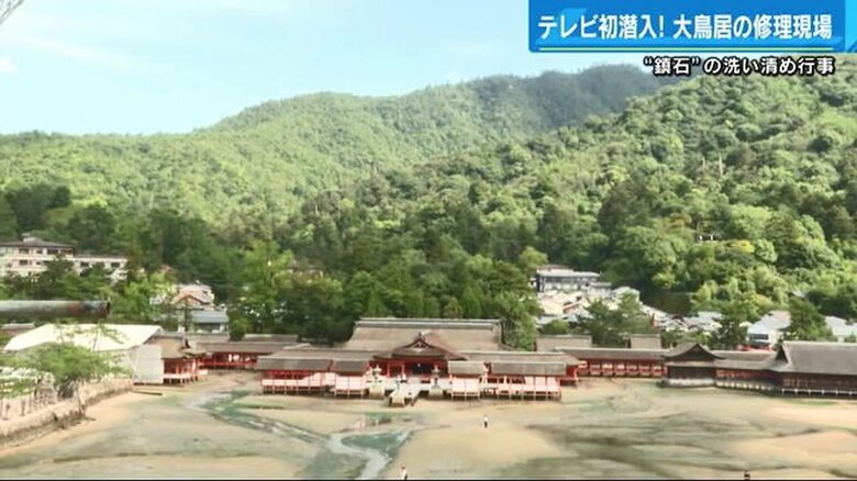 大鳥居から見る社殿