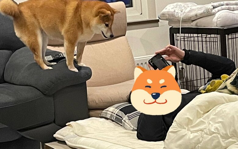 提供：赤柴いちさん