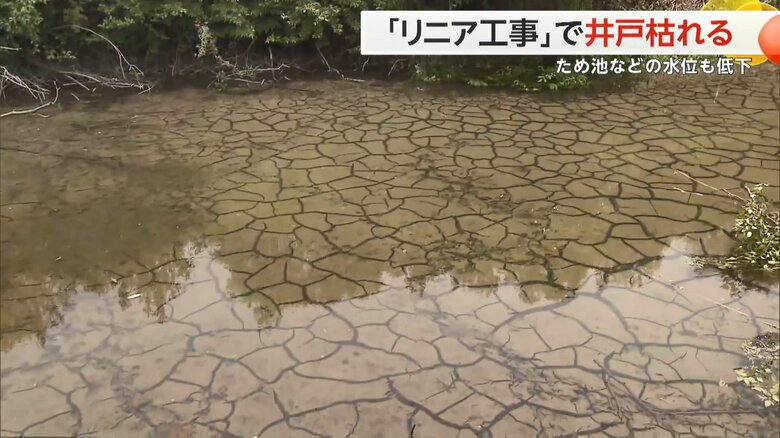 ため池のそこにはひび割れができている。約50cmだった水位は15cmほどに。
