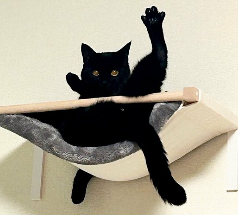 飼い主も首かしげた、うにくんの不思議なポーズ