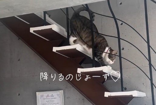 階段も難なく上り下り