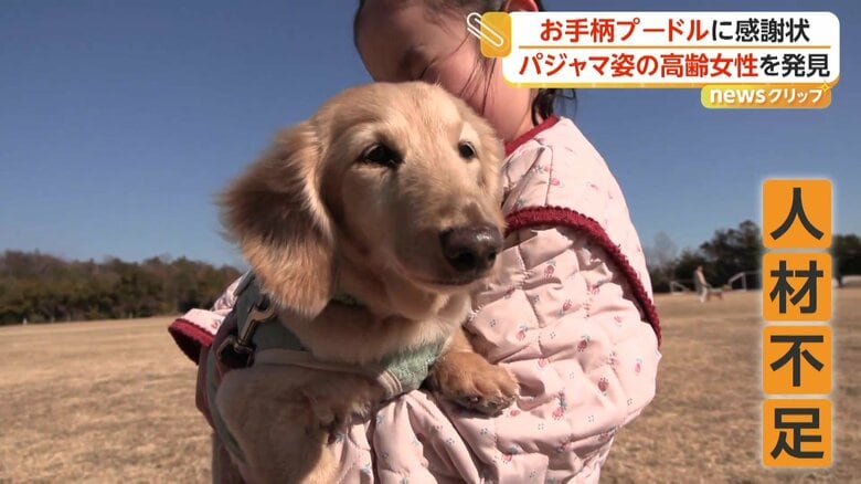 人材不足を埋める隊員として期待されている「ワンパト隊」