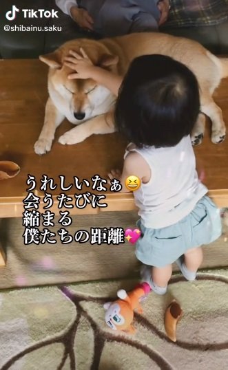 孫ちゃんと仲良しな朔くん
