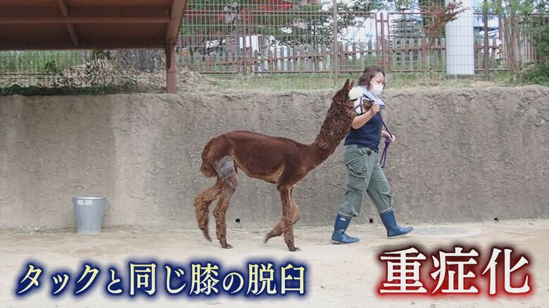 タックのパートナーだったジェーン