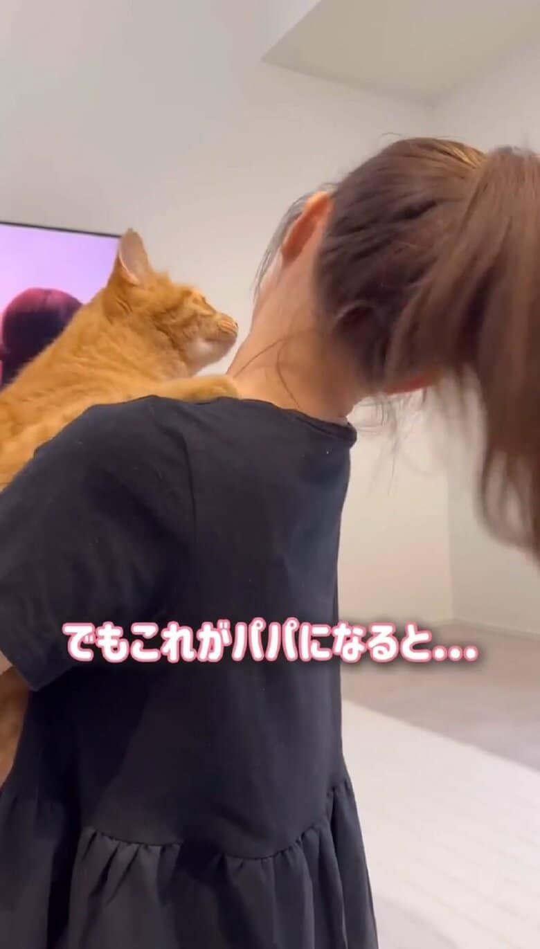 でも、これがパパさんになると…
