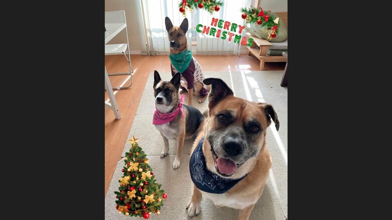 クリスマスでの一コマ