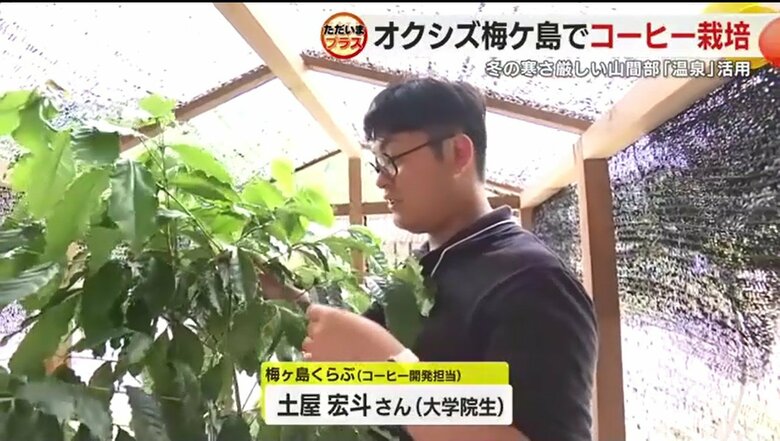 ミニハウスの中のコーヒーについて説明する土屋宏斗さん