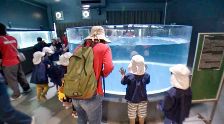 近所の幼稚園児たちも訪れる