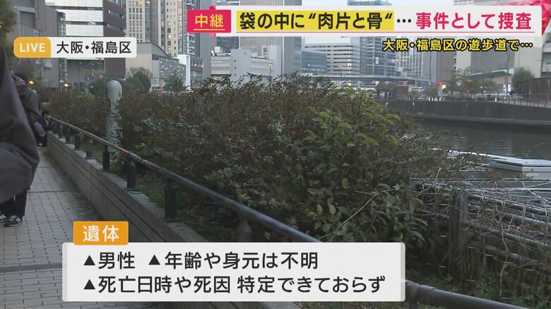 遺体が見つかったあたりの植え込み