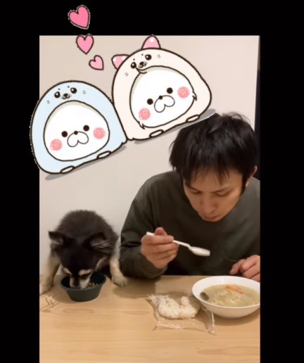 普段はなかよしな旦那さんとさすけくん