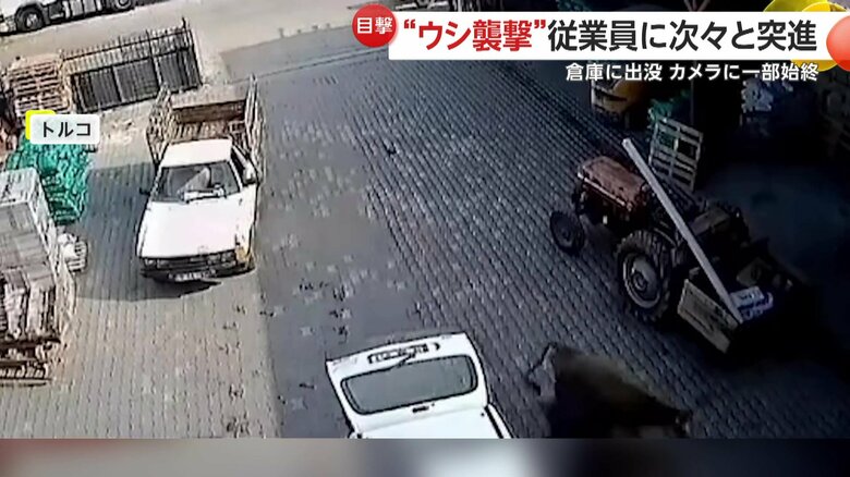 次々と標的にされながらも何とか逃げまどい、衝突を回避した従業員たち