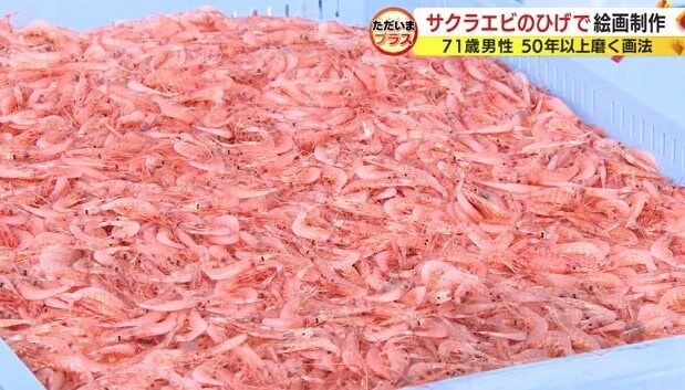 静岡県駿河湾特産のサクラエビ