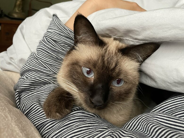 レアキャラのスズちゃん