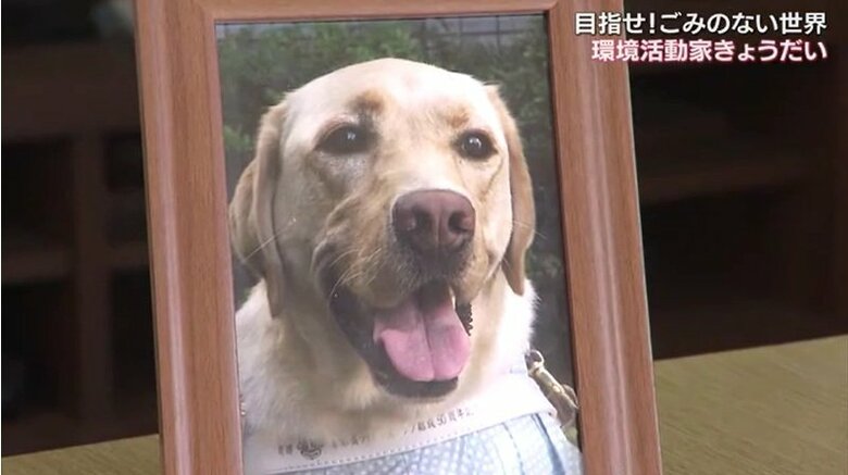 ごみが原因で死んでしまった盲導犬の写真