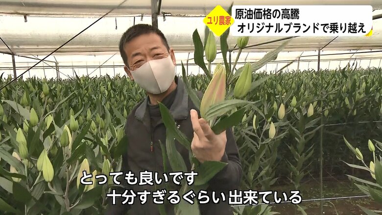 2022年のユリの出来について語る永友さん