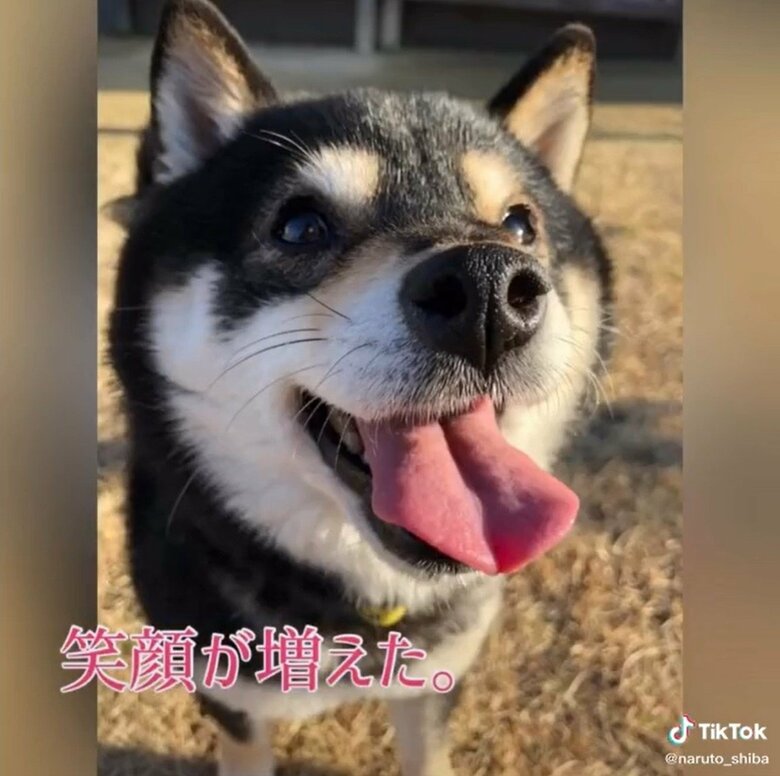 笑顔が増えて感情も豊かになった