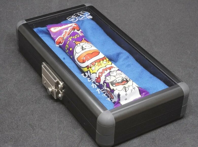 黒色の専用ケース