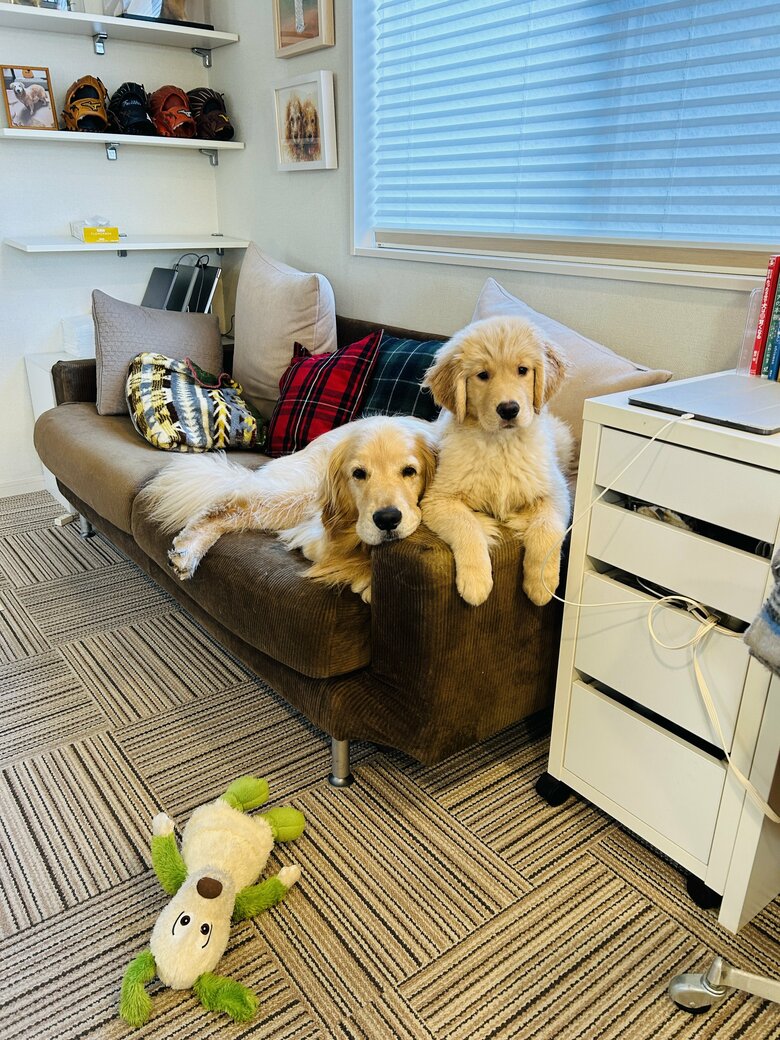 提供：efrinmanさん