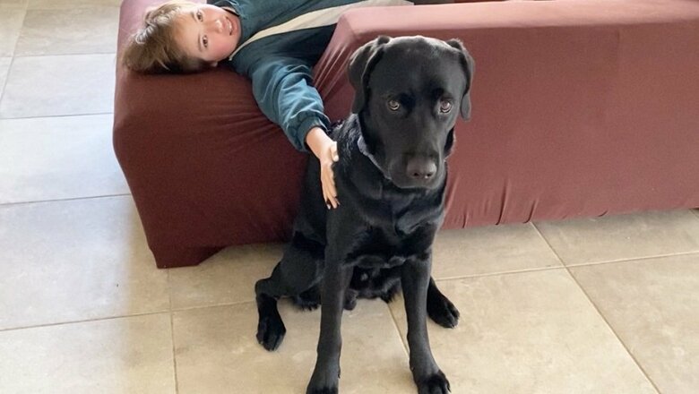 長男を叱っていると間に入ってくるえんぞうくん　守っている？