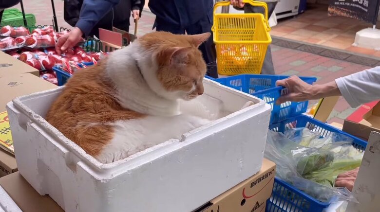 お客さんを出迎える